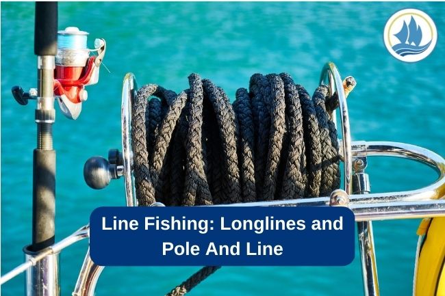Line Fishing: Longlines and Pole And Line